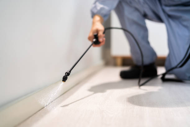 Licensed Cockroach Control service in Monroe County County, OH - Nex Pest Control