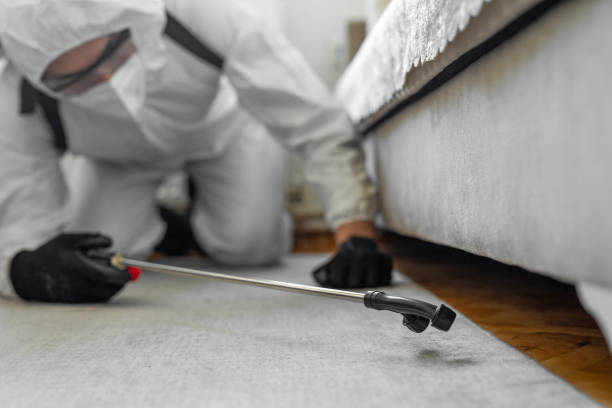 Professional Cockroach Control technician working in Monroe County County, OH